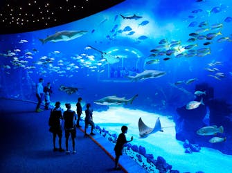 Aquarium Poema del Mar & Siam Park Combo Ticket